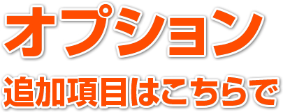 オプション:追加項目はこちらで